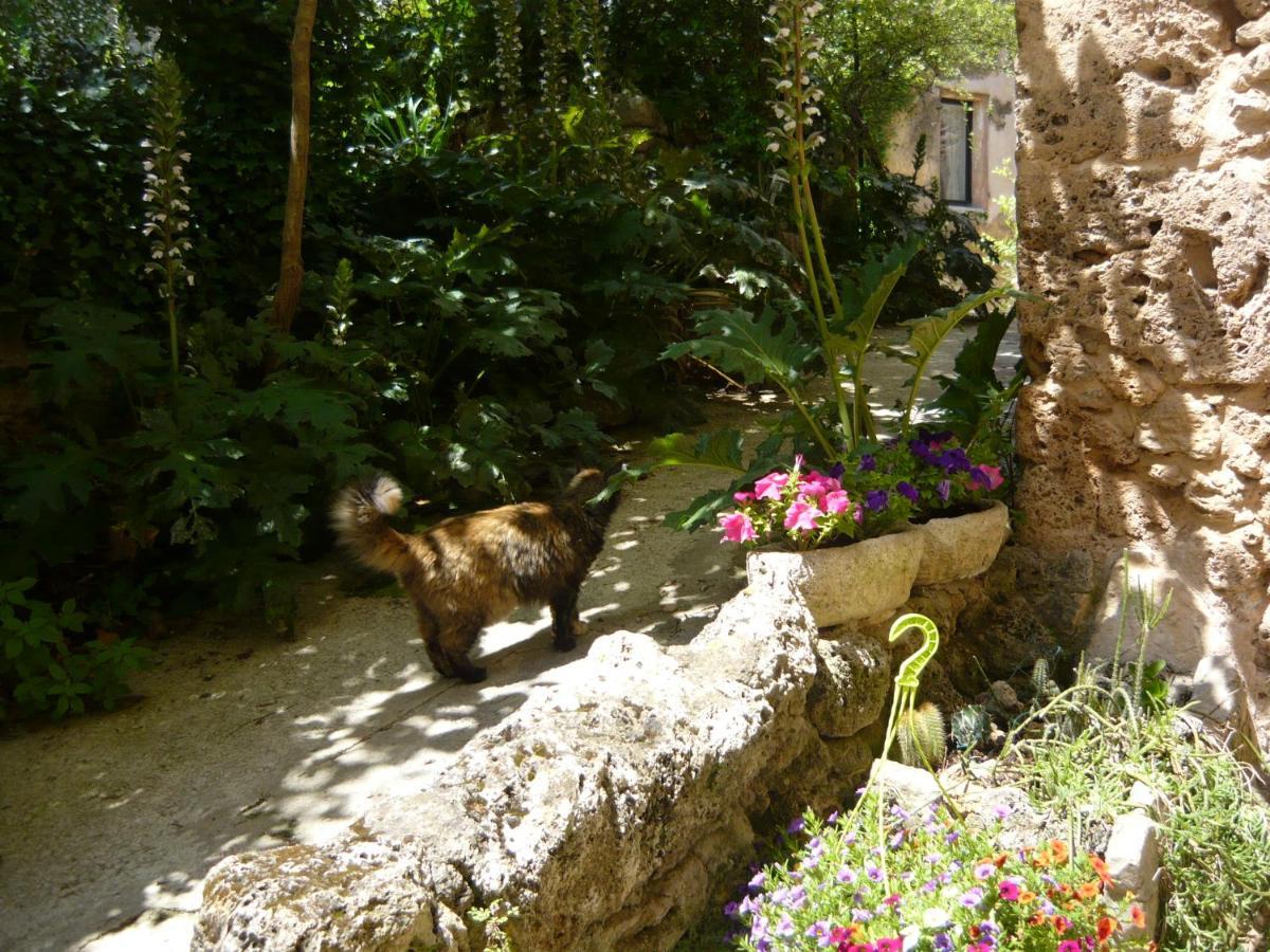 Le Pra De Pe Bed & Breakfast Cotignac Exterior photo